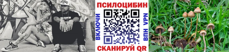 Галлюциногенные грибы прущие грибы  Грязи 